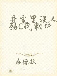 哥家里没人使点劲C我软件