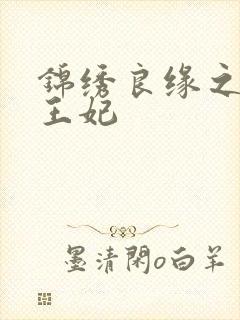 锦绣良缘之北地王妃