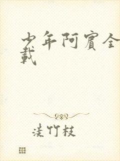 少年阿宾全集下载