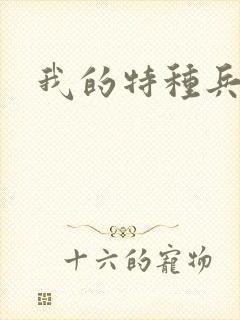 我的特种兵男友