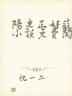 阳光正好苏玥玥小说免费阅读