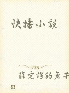 快播小说
