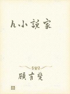 h小说家