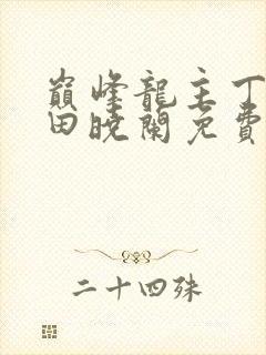 巅峰龙主丁长顺田晓兰免费阅读