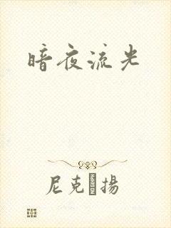 暗夜流光