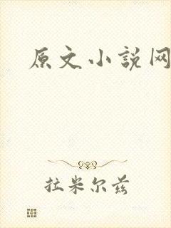 原文小说网