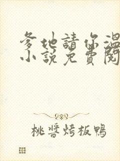 爹地请你温柔点小说免费阅读