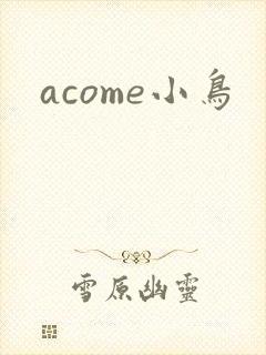 acome小鸟