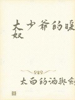 大少爷的暖床小奴