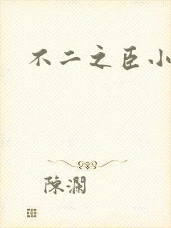 不二之臣小说