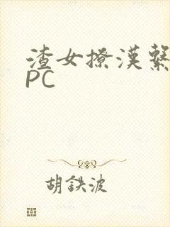 渣女撩汉系统NPC