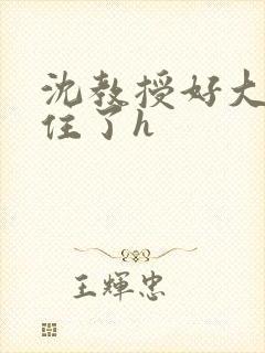 沈教授好大含不住了h