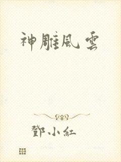 神雕风云