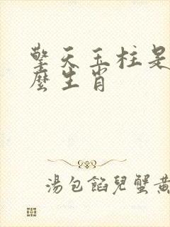 擎天玉柱是指什么生肖