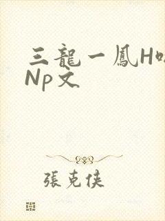 三龙一凤H啪肉Np文