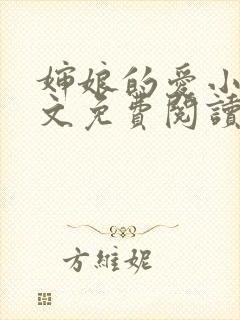 婶娘的爱小说全文免费阅读