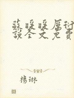 苏暖暖厉衍琛小说全文免费阅读