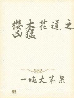 樱木花道之重生凶猛