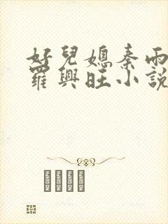 好儿媳秦雨罗明罗兴旺小说