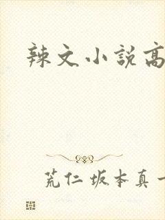 辣文小说高h