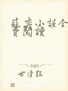 苏奕小说全文免费阅读