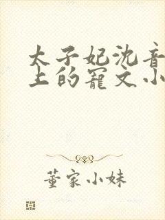 太子妃沈音和皇上的宠文小说