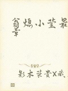 翁熄小莹最新节章