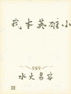 我本英雄小说