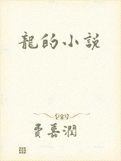 龙的小说