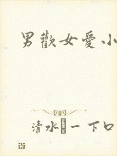 男欢女爱小说