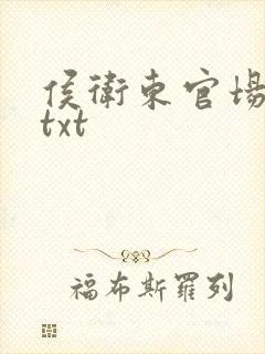 侯卫东官场笔记txt