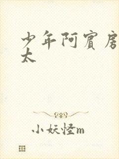 少年阿宾房东太太