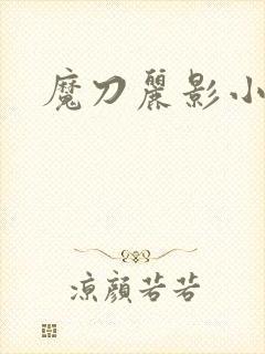 魔刀丽影小说
