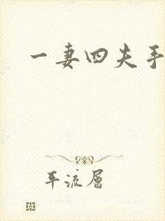 一妻四夫手记