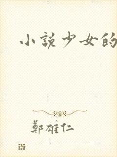 小说少女的心