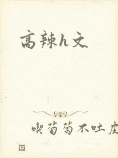 高辣h文