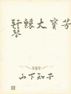 轩辕大宝芳菲雅琴