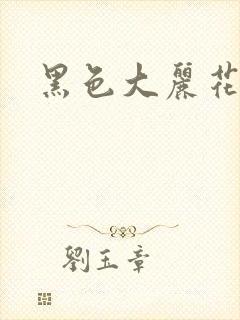 黑色大丽花图片