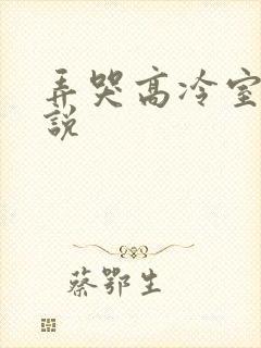 弄哭高冷室友小说