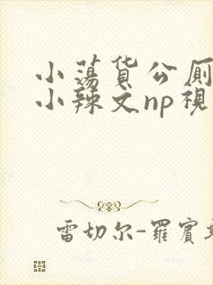 小荡货公厕h文小辣文np视频