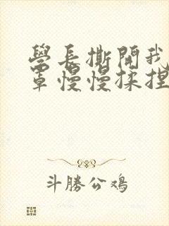 学长撕开我的乳罩慢慢揉捏小说