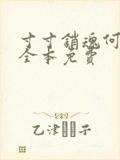 寸寸销魂何生祥全本免费