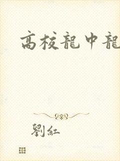 高校龙中龙