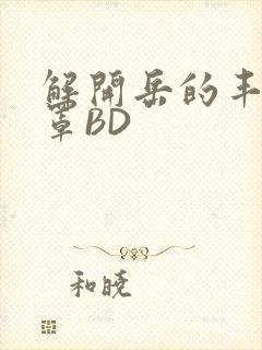 解开岳的丰满奶罩BD