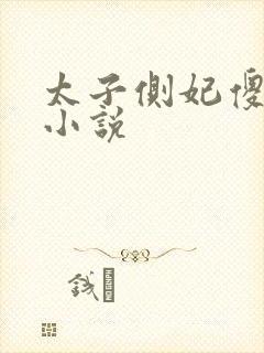 太子侧妃傻乎乎小说