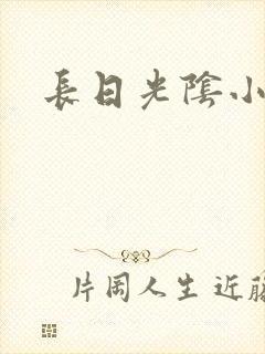 长日光阴小说