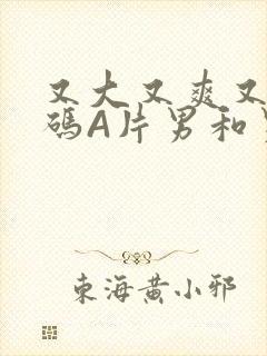 又大又爽又黄无码A片男和男