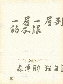 一层一层剥开我的衣服