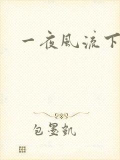 一夜风流下载