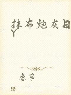 抹布炮灰日记BY